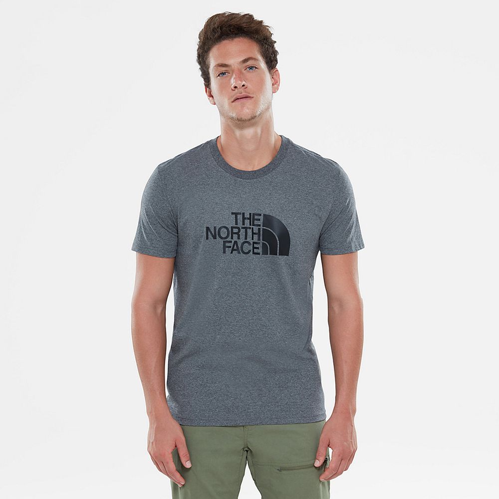 The North Face T-Shirts Mens Australia - The North Face Easy Grey (DJF-938146)